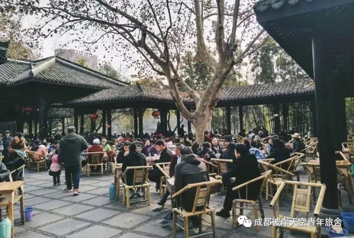 关于成都自驾游攻略的书,成都旅行全攻略3-4天自由行