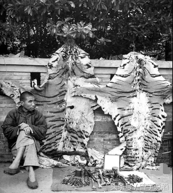 不懂老酒历史，您将错过多少稀世好酒？