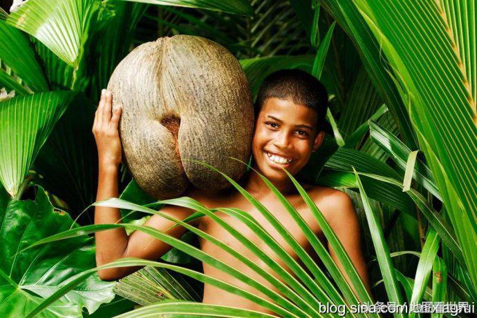 塞舌尔旅游者,人间天堂塞舌尔