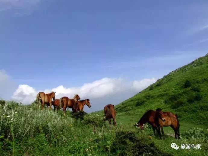 中国唯一的山峰,中国三大神山是哪三个山脉