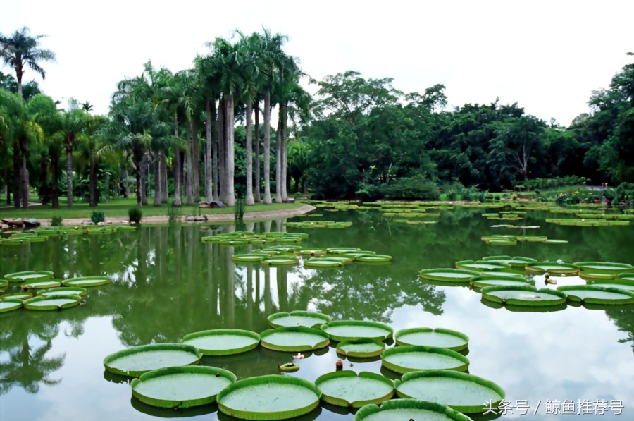 云南5a景区地图一览表,云南5a景区名单最新