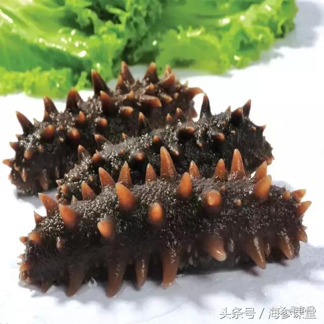 三高人群怎么吃海参,不爱吃海参的人怎么吃海参