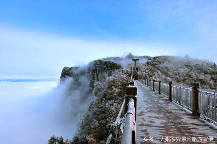 张家界旅游攻略导游佳佳,张家界导游阳阳旅游攻略