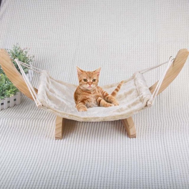 家里的主子太高冷?试试送这些礼物给它呀~