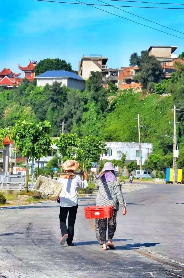 舌尖上的福建鱼丸,舌尖上的美食多少钱一箱
