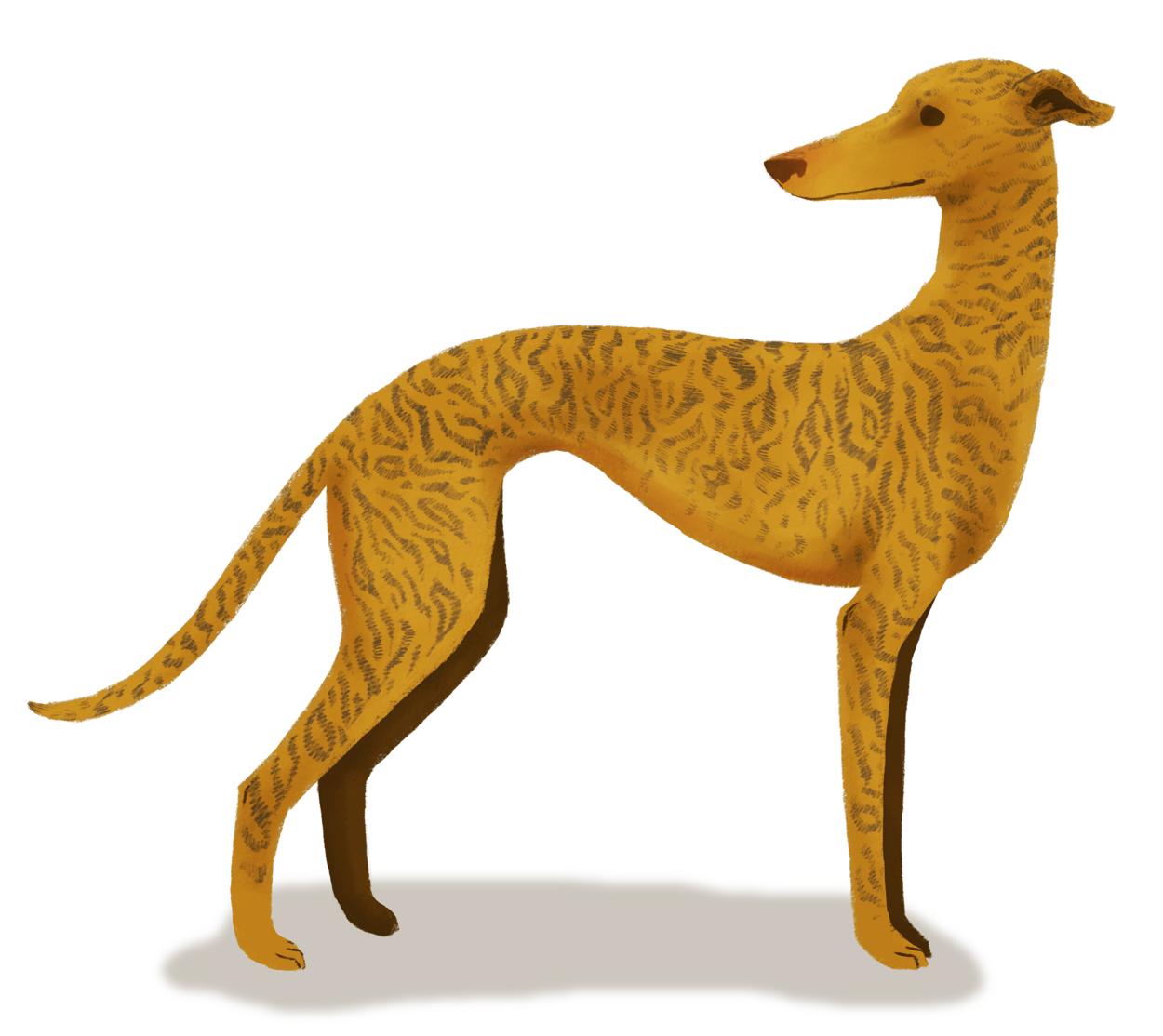 韩国插画师negrim的插画作品,插画师hana美食插画