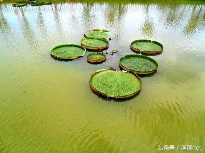 十大经典男主穿越古代小说,必看的男主穿越古代小说推荐