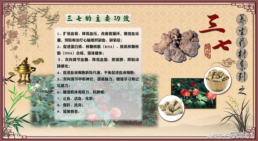 哺乳期能吃三七西洋参粉吗,哺乳期可以吃三七丹参粉吗