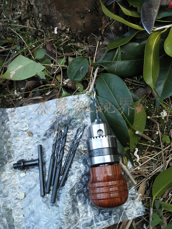 茶花嫁接技术图解大全集,茶花不去头腹接嫁接法