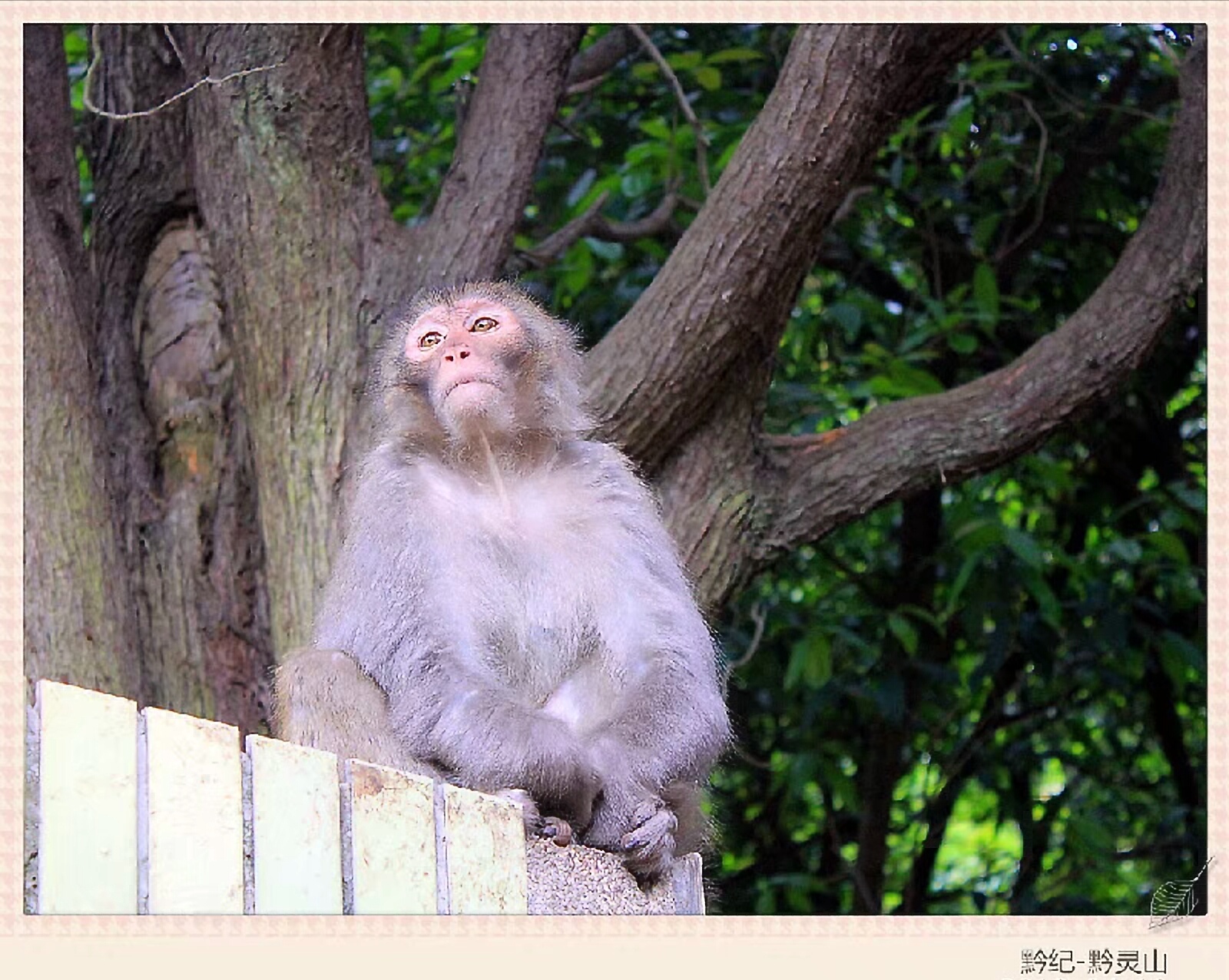黔灵山地形图,黔灵山脉图片