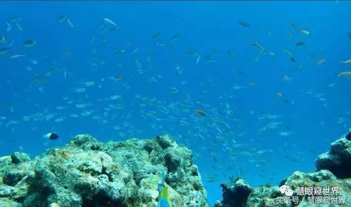 泰国斯米兰岛潜水,泰国斯米兰群岛潜水