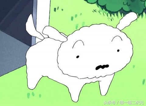 二次元出名的狗狗叫什么,二次元早期小奶狗