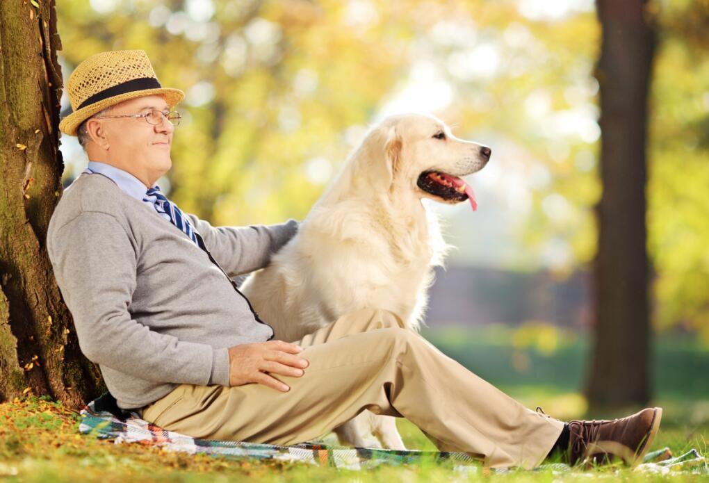 家里老人脾气暴躁总找事,家里老人爱发脾气怎么办