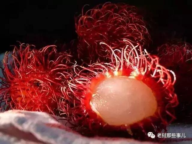 有哪些好吃又稀奇的热带水果,奇怪的热带水果哪些好吃