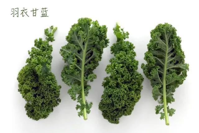 每逢佳节胖三斤吃几种食物来养生,每逢佳节胖三斤教你节后轻食刮油