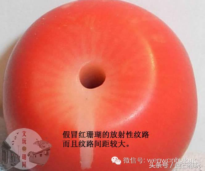 红珊瑚介绍方法,红珊瑚识别方法