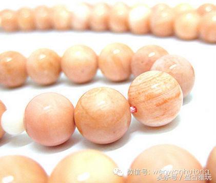 红珊瑚介绍方法,红珊瑚识别方法