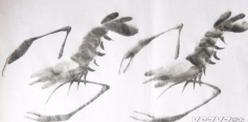 水墨大虾怎么画,水墨彩色大虾画
