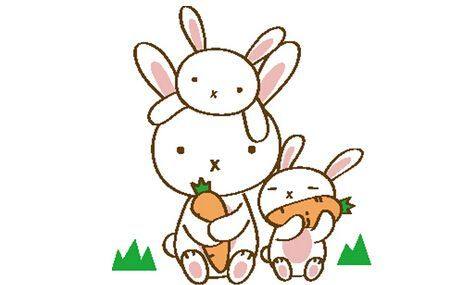 传统文化十二生肖视频,中华传统文化十二生肖图片