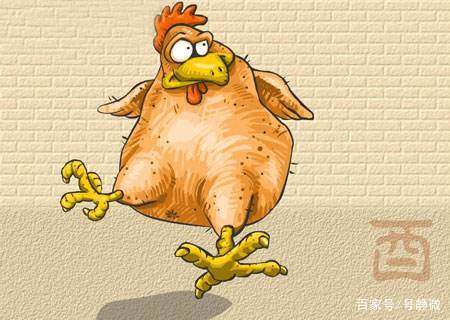 传统文化十二生肖视频,中华传统文化十二生肖图片