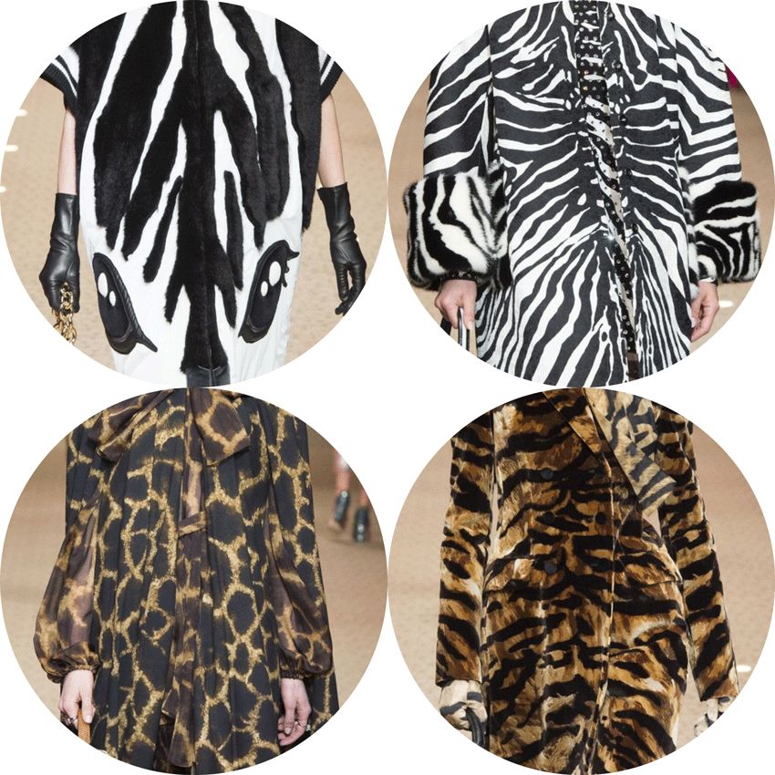 跟着王子凯”和“公主迪”看完这场杜嘉班纳大秀，你绝对不后悔