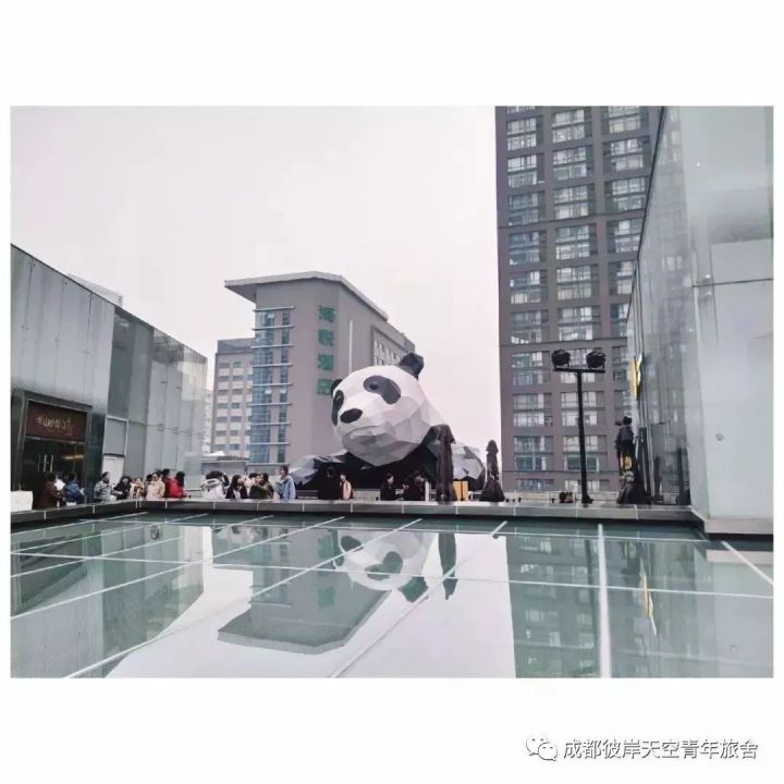 关于成都自驾游攻略的书,成都旅行全攻略3-4天自由行