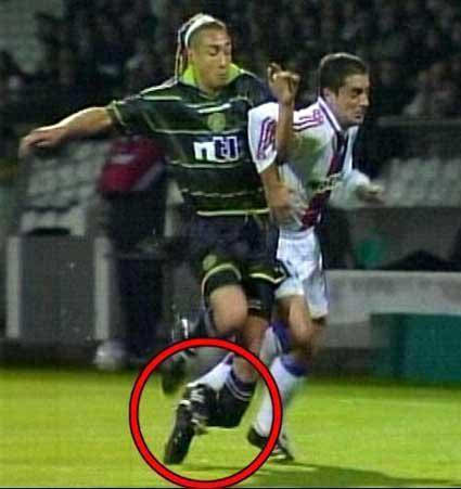 挥之不去的梦魇小说2,挥之不去的噩梦第六集