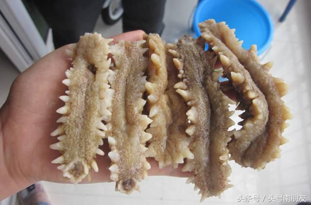 泰国旅游最佳手信,去欧洲旅游的手信