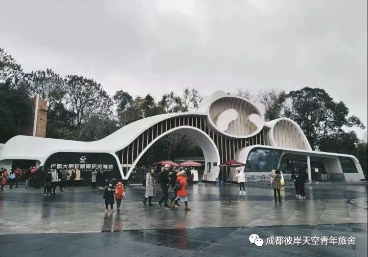 关于成都自驾游攻略的书,成都旅行全攻略3-4天自由行