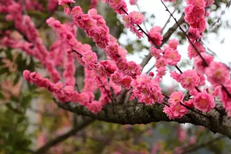 郑州一秒入夏的视频,民生大参考最新视频郑州一秒入夏