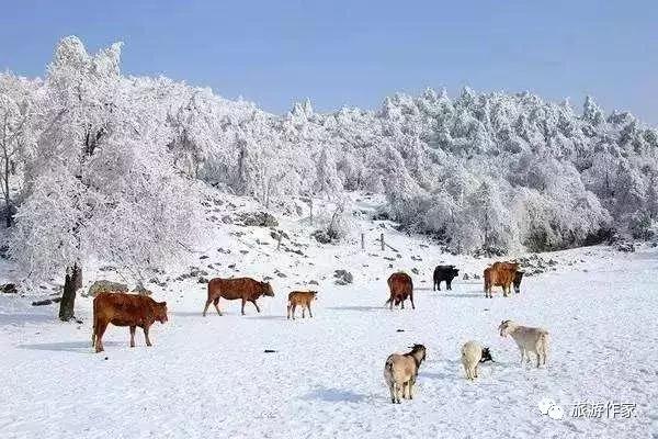 中国唯一的山峰,中国三大神山是哪三个山脉