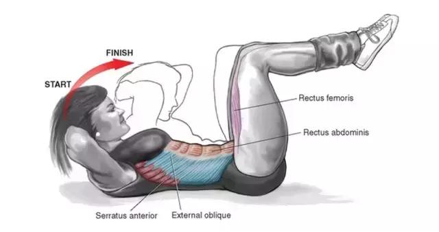 10个高效腹肌动作,10个高效腹肌锻炼方法