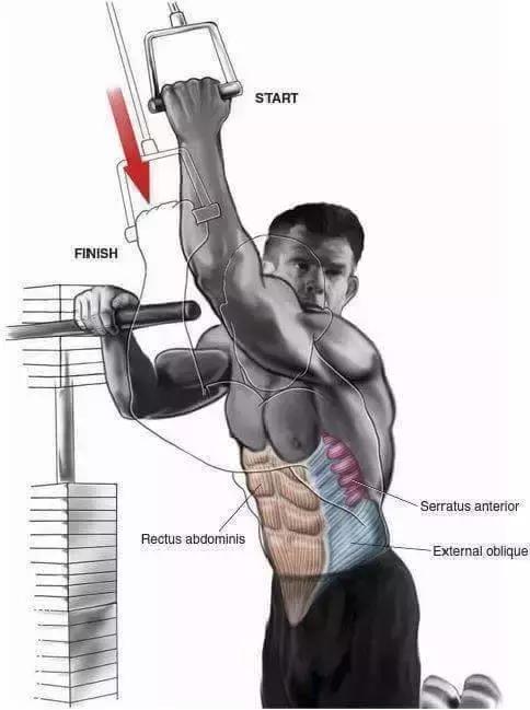 10个高效腹肌动作,10个高效腹肌锻炼方法