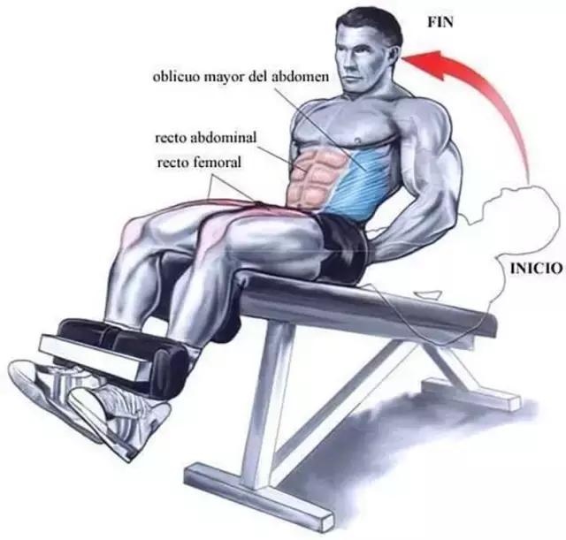 10个高效腹肌动作,10个高效腹肌锻炼方法