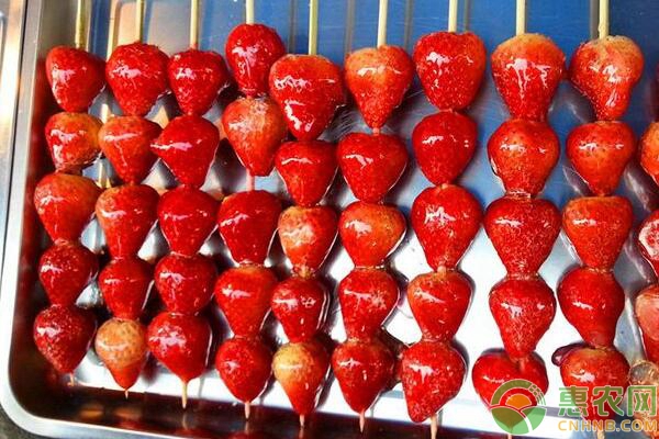 草莓冰糖葫芦卖多少钱一串,草莓冰糖葫芦成本价