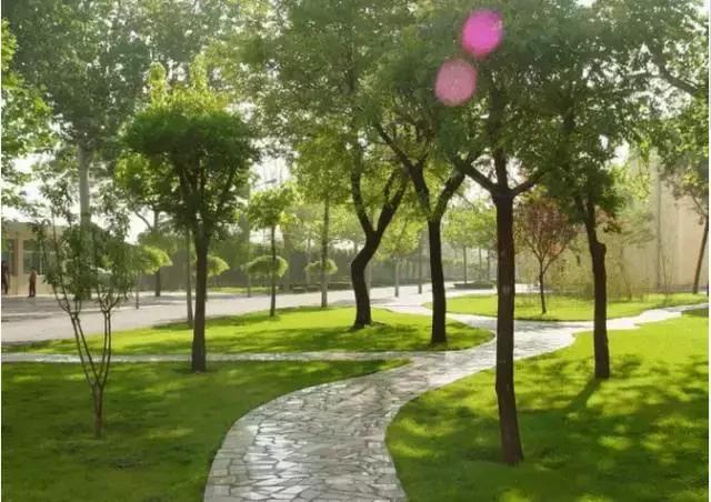 郑州中原路最新面貌,郑州市中原路升级改造