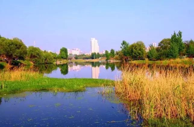 郑州中原路最新面貌,郑州市中原路升级改造