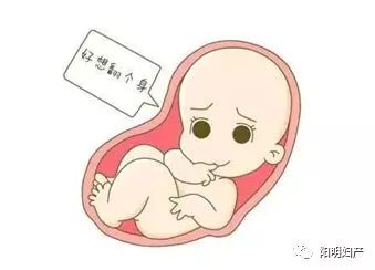 预产期要到了宝宝jio朝外?产科这套“乾坤大挪移”帮宝宝转身!