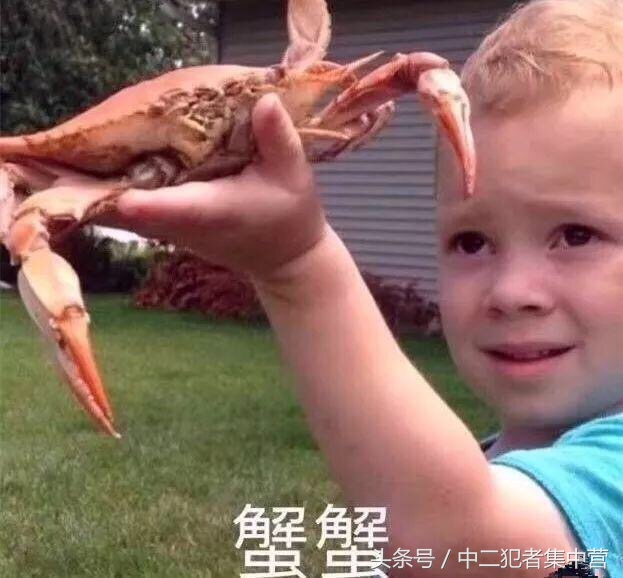 百元以下好物推荐,十大平价好物推荐