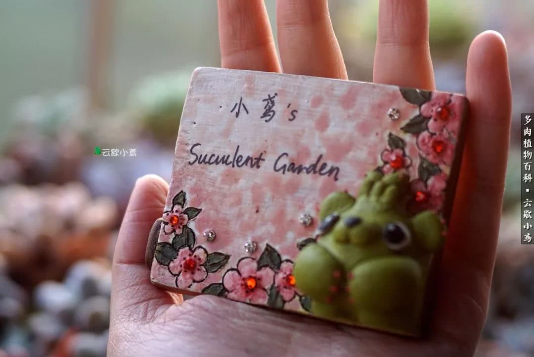 不负人间风月,不负人间风月创作的原声