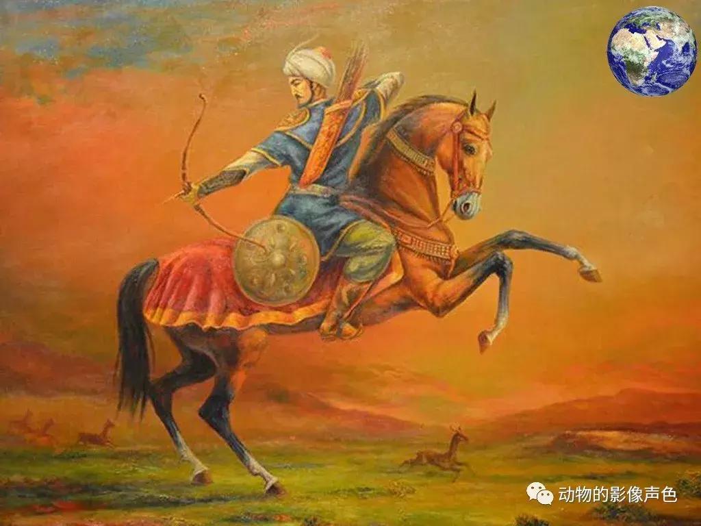 顶级汗血宝马怎么培育,汗血宝马可以培育吗