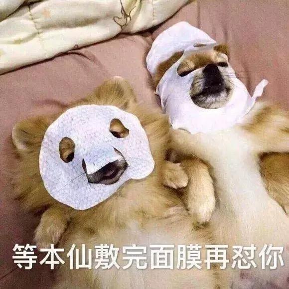 毛孔一擦就变细腻,用了一段时间毛孔收缩了一点