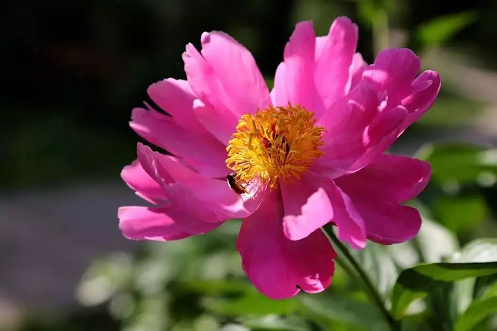 郑州一秒入夏的视频,民生大参考最新视频郑州一秒入夏