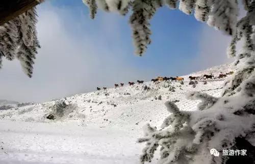中国唯一的山峰,中国三大神山是哪三个山脉