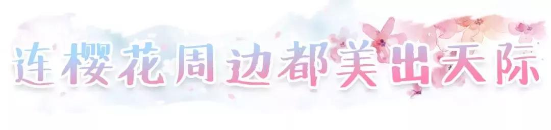 一年就等这一季!星爸爸又来抢钱,全新樱花杯苏炸少女心!