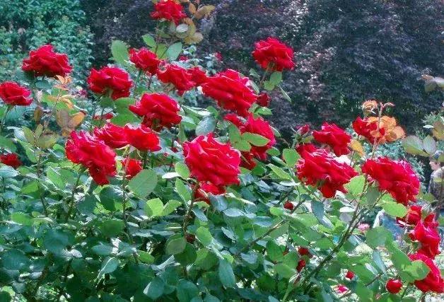 郑州中原路最新面貌,郑州市中原路升级改造