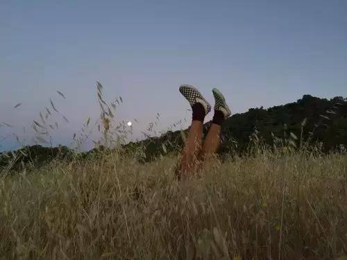 vans和converse高帮适合冬季穿,converse对比vans