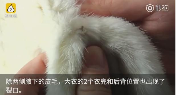 貂皮大衣2980,貂皮大衣5050