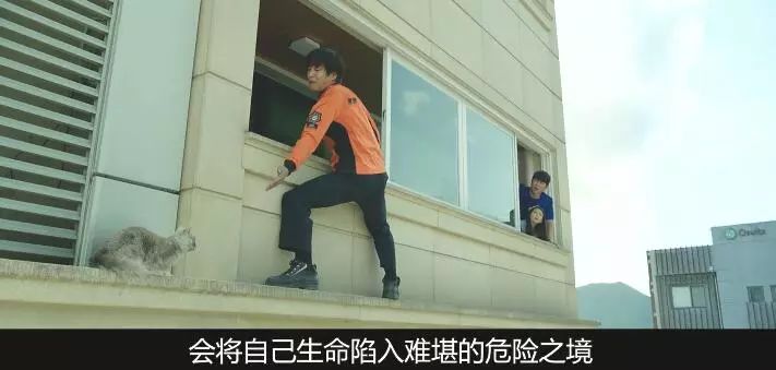 韩国上映的十部票房最高中国电影,韩国票房最高的电影前十名排行榜