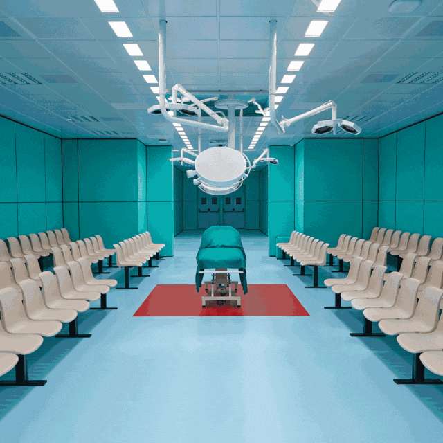 抱着狗狗走秀,抱着狗狗模特走秀视频